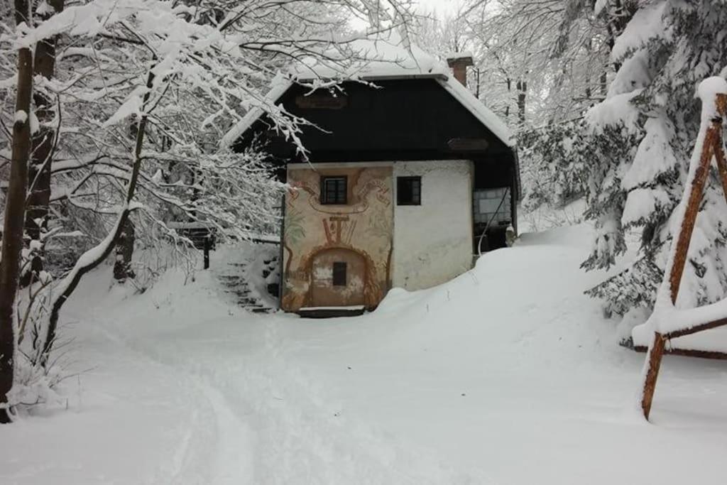 Home Puscava Kranj Exterior photo